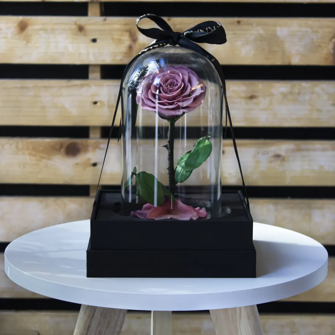 Pastel Pink Forever Rose