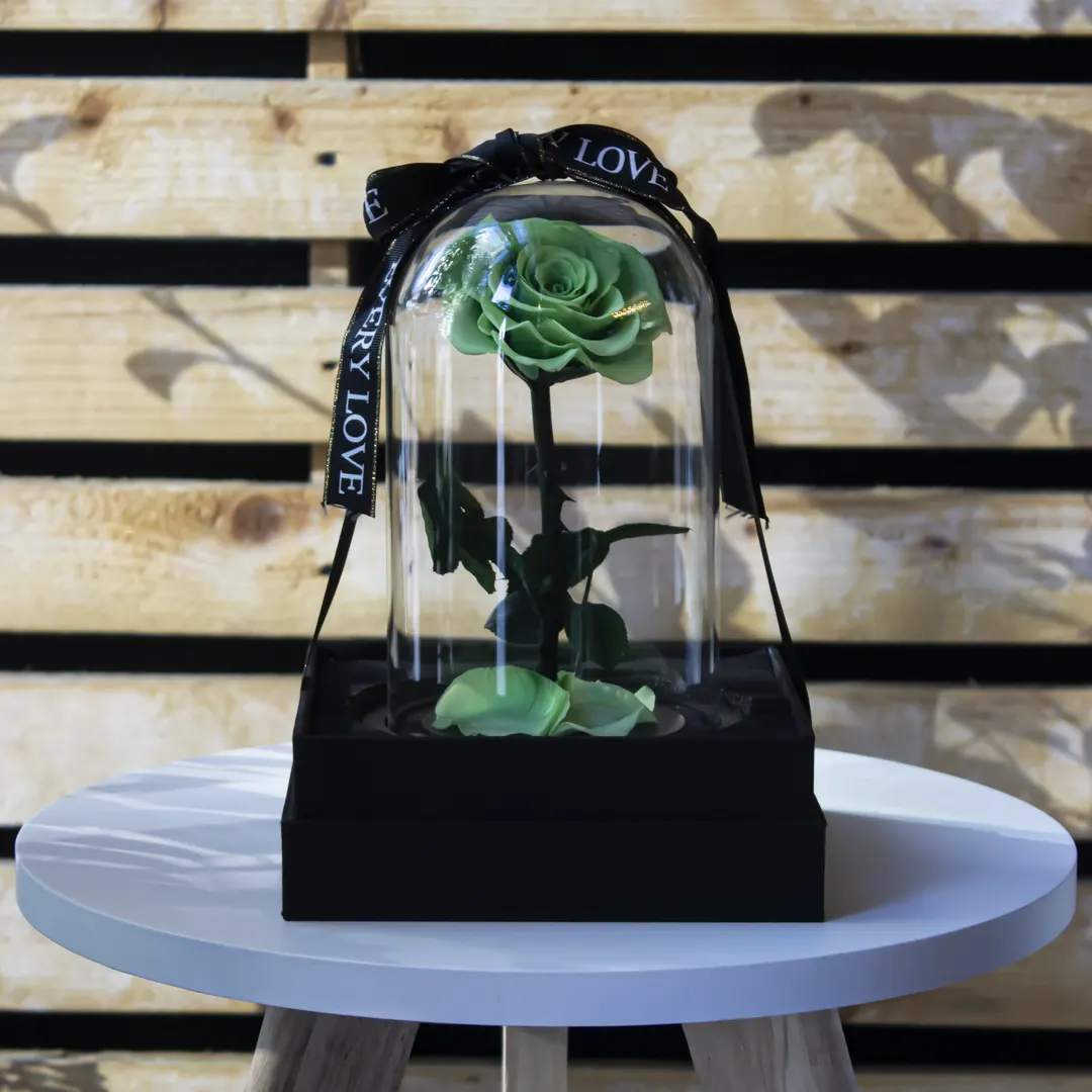 Green Forever Rose