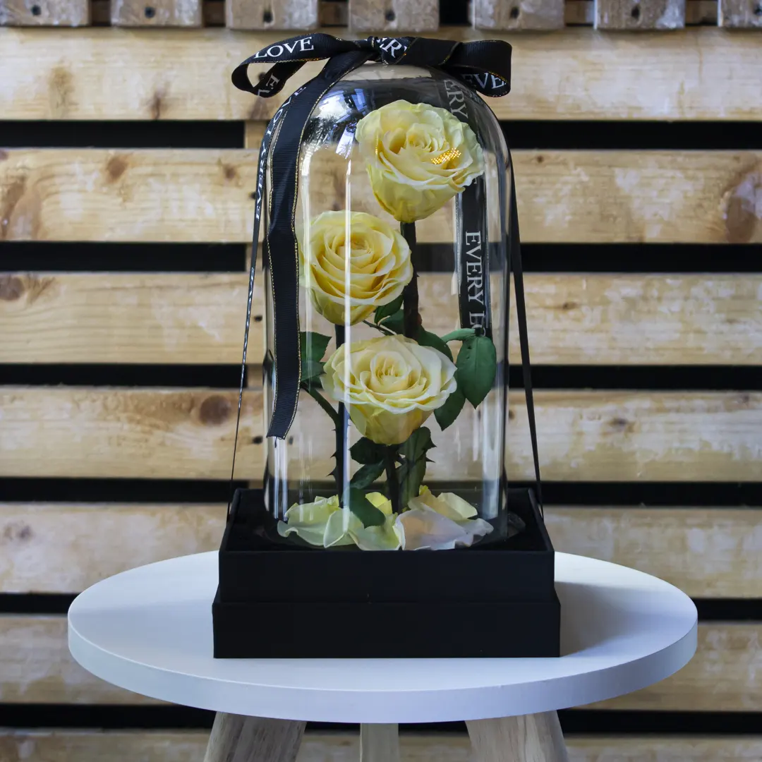 Yellow Trio Forever Roses