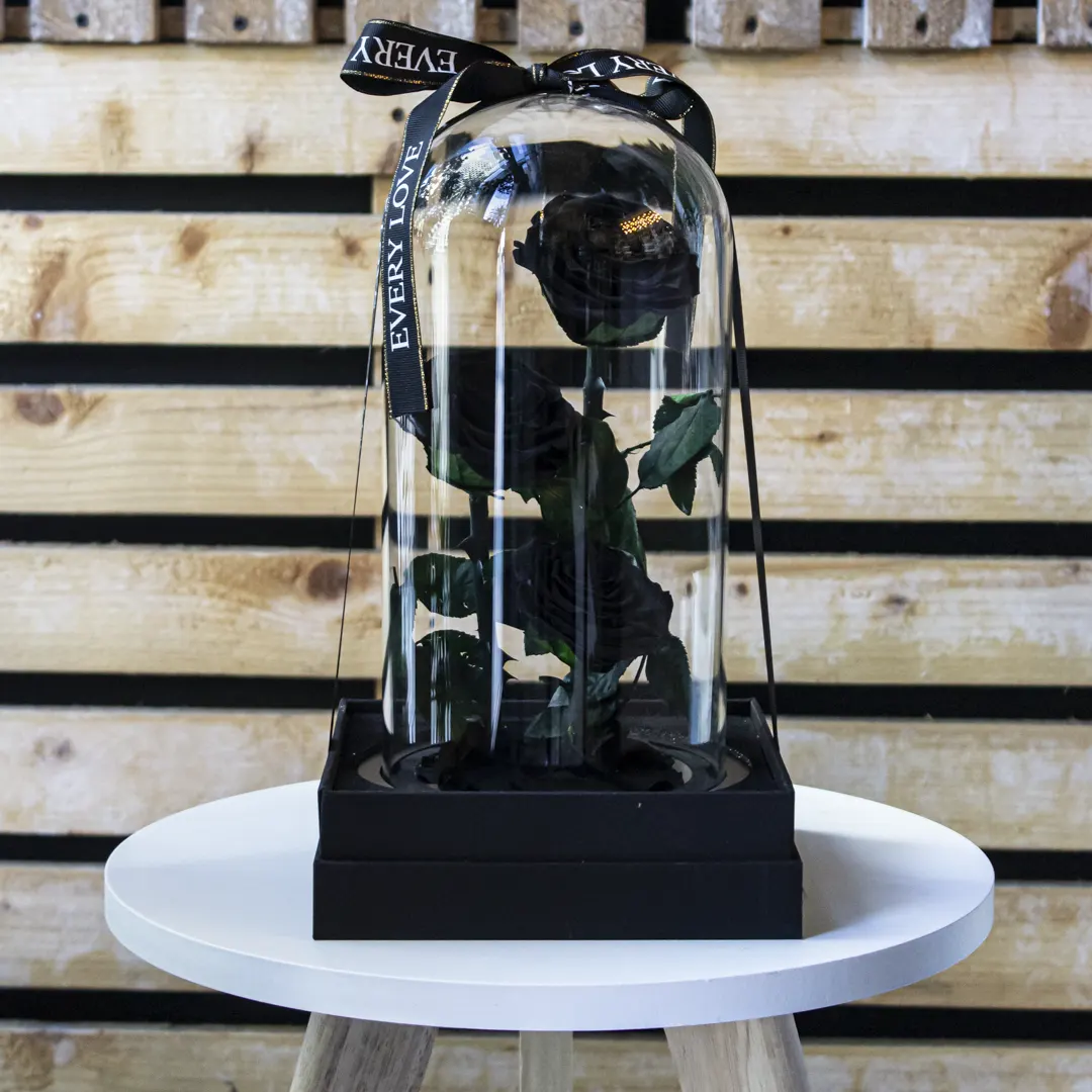 Black Trio Forever Roses