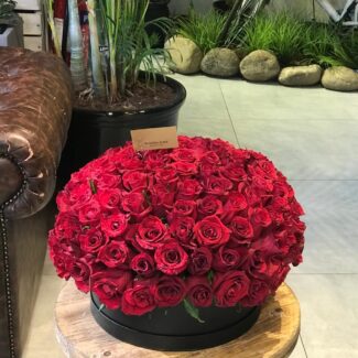 150 Rose