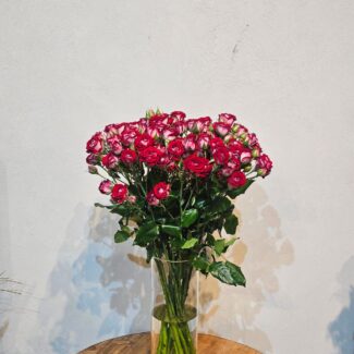 15 Red & White Spray Roses with Vase